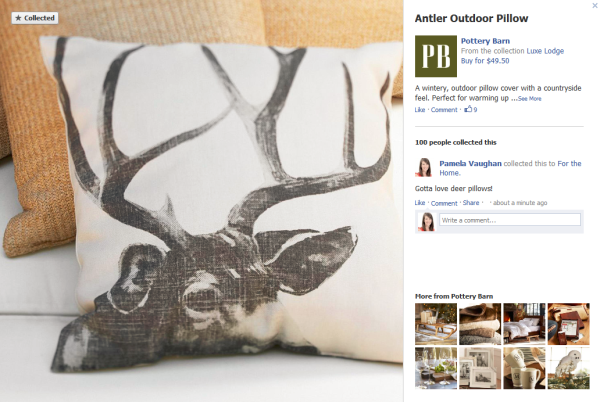 facebook collections pillow resized 600